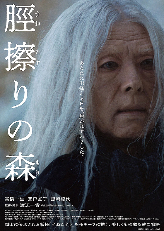 脛擦りの森 森林與神社神秘氛圍畫面